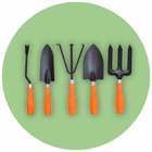 Kitchen Gardening