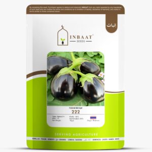 Hybrid brinjal 222