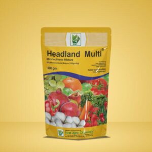 headland multi 500gm