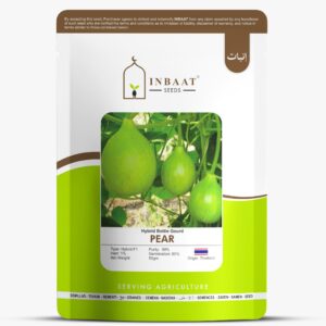 Hybrid bottle Gourd Pear f1