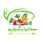 subhanagrizone favicon